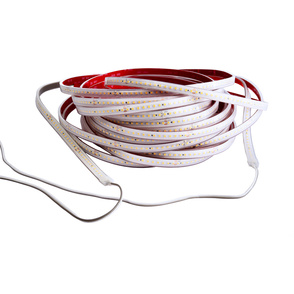LED Stripes ab IP44 bei Möser-Elektrotechnik GmbH in Mücke